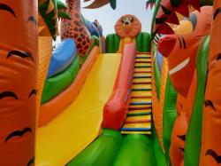 Надувная горка Мадагаскар (R47846) фото 1